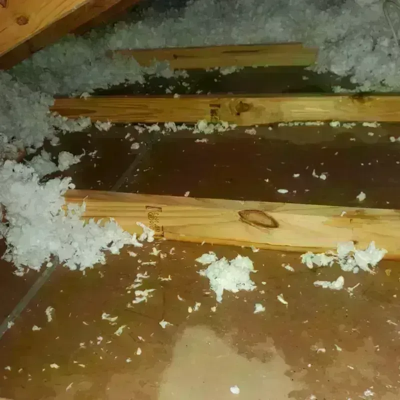 Attic Water Damage in Gandy, FL