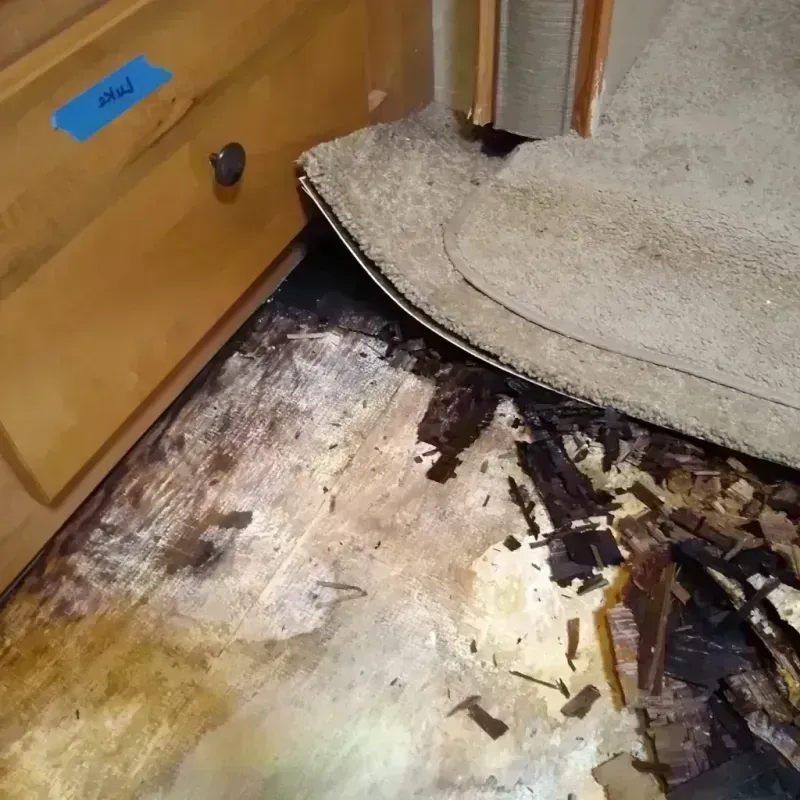 Wood Floor Water Damage in Gandy, FL